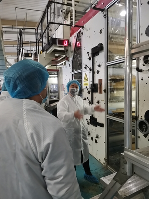 Sacchi di carta per valvole industriali su ordinazione da 25 kg per la costruzione