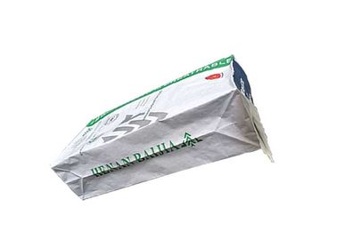 La stampa su misura ha incollato i sacchi di carta Eco biodegradabile di Multiwall della valvola amichevole