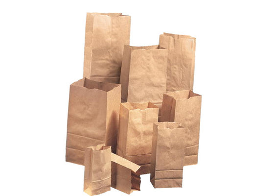 I multi sacchi di carta della parete di 2 strati aprono la bocca Eco biodegradabile riciclabile amichevole