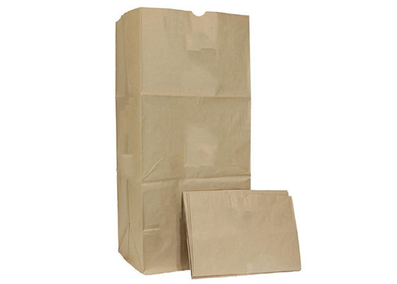 30 borse di Gal Biodegradable Lawn And Leaf incartano le borse dello spreco del giardino