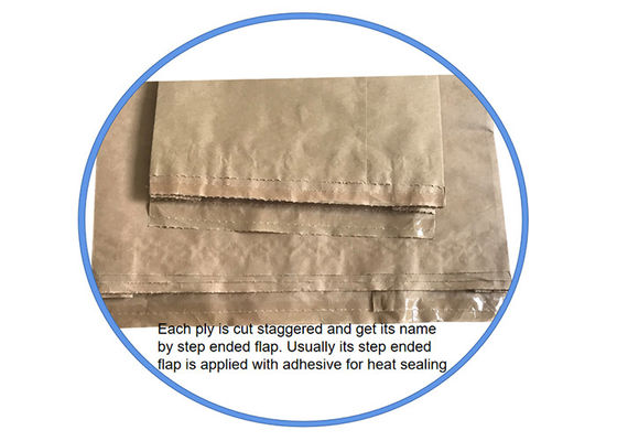 I sacchi di carta 20kg 25kg di Kraft riciclati dimensione su ordinazione hanno incollato i sacchi di carta di Multiwall