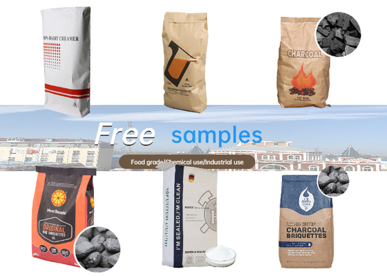 I sacchi di carta stampati colore a prova d'umidità amichevole di 2 pieghe multi 10kg Kraft di Eco per il carbone del carbone