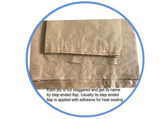 Sacchi di carta di stampa variopinti amichevoli della saldatura a caldo di Eco Kraft per l'imballaggio della polvere dell'alimento